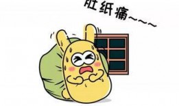 吃瓜群众高配,高配吃瓜群众带你领略明星幕后生活