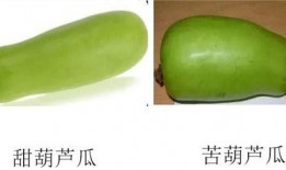 吃瓜发丰顺,揭秘丰顺美食背后的故事