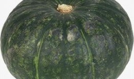 大瓜吃瓜素材图片高清,高清素材里的娱乐圈风云录