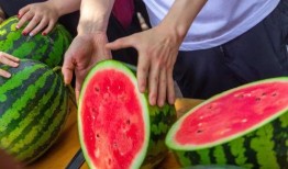 广州软件学院吃瓜,校园吃瓜指南，揭秘校园热点事件