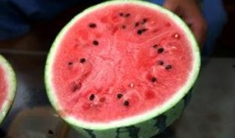 乔崽吃瓜,揭秘娱乐圈幕后故事