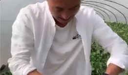 电商版吃瓜群众,揭秘网络购物背后的热议话题