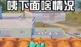 吃鸡与吃瓜群众,揭秘网络现象背后的众生相