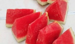 吃瓜大赛吃西瓜,吃瓜大赛西瓜争霸战