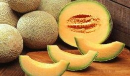 金秋时节吃蜜瓜,甜蜜滋味，尽享丰收时光