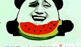 meme吃瓜梗图,从meme吃瓜梗图看当代网络文化现象