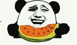 吃瓜群众和当官区别,吃瓜群众与当官者的生活差异揭秘