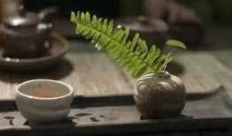 吃瓜喝茶看热闹,吃瓜喝茶，品味人间百态