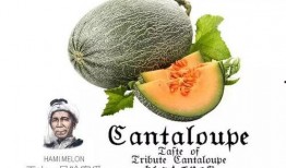 校园吃瓜强,揭秘校园八卦背后的真相