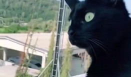 楼上邻居吵架吃瓜,一场吃瓜群众的围观记