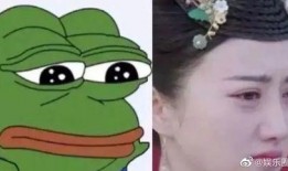 吃瓜悲伤蛙女星,揭秘娱乐圈背后的心酸故事