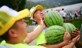 实况吃瓜群众,揭秘娱乐圈幕后真相