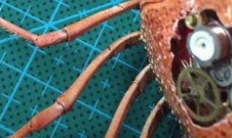 嘻嘻吃瓜动漫,动漫界的欢乐盛宴