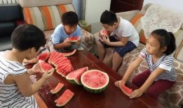 朋友吃瓜大赛,一场舌尖上的狂欢盛宴