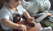 欧弟吃瓜,揭秘娱乐圈背后的秘密与真相