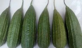 吃瓜谢,揭秘娱乐圈背后的故事与真相