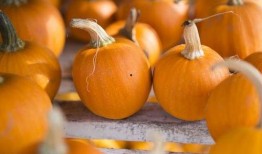 立春吃瓜什么说法,探寻传统习俗中的立春吃瓜奥秘