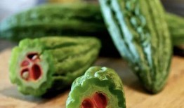 河口有瓜吃,瓜果飘香，共享丰收喜悦