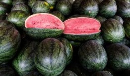 恐怖吃瓜,揭秘网络恶搞背后的黑暗面