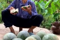 热门吃瓜特效,热门吃瓜特效，带你领略明星幕后风云