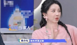 淑芬陈吃瓜记,揭秘娱乐圈幕后风云