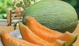 吃菠萝哈密瓜解酒