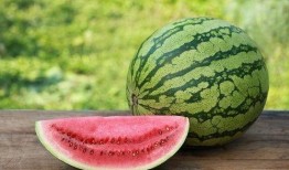 吃瓜的臭瓜皮,臭瓜皮背后的真相与反思