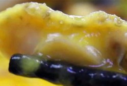 福建小哥吃瓜,揭秘闽南街头美食风情