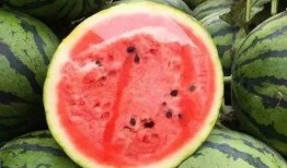 吃瓜群众西瓜夏天,吃瓜群众西瓜盛宴