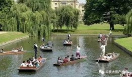 剑桥大学吃瓜,揭秘校园里的“吃瓜”文化现象