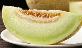 吃的蜜瓜,探寻夏日甜蜜滋味之旅