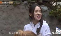 杨幂吃瓜表情包,揭秘娱乐圈幕后真相