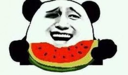 吃瓜中心怎么没了,揭秘背后真相