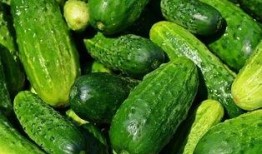 拆箱吃瓜,一场别开生面的“吃瓜”盛宴