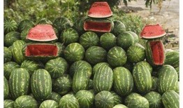 九小时吃瓜,揭秘娱乐圈幕后故事