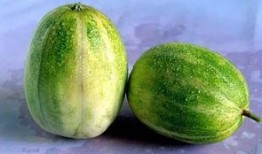 减肥吃的什么瓜,揭秘减肥期间的瓜类美食选择