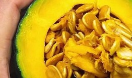 小熊吃瓜糯米新吃法,糯米瓜的创新美味探索