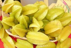 杨桃瓜种子怎样吃,杨桃瓜种子美味食用指南