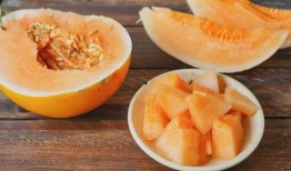 吃瓜网站免费进,免费进入吃瓜网站的秘密通道