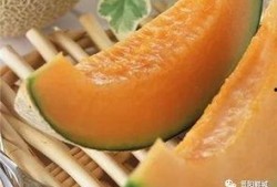 密瓜和哈密瓜怎么吃,多味食法大揭秘