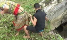 梦见在小瓜地里摘瓜吃