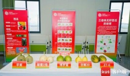 吃瓜群众报个名,揭秘“吃瓜群众报个名”背后的故事